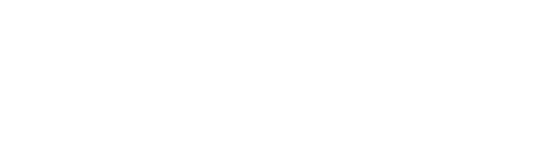 Salpa
